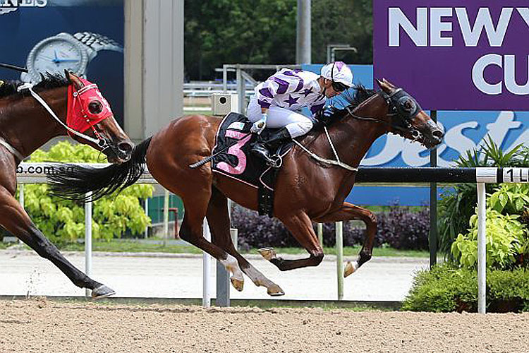 Makkem Lad winning the DAVID LEE FREEDMAN STAKES CLASS 4 Makkem Lad winning the DAVID LEE FREEDMAN STAKES CLASS 4