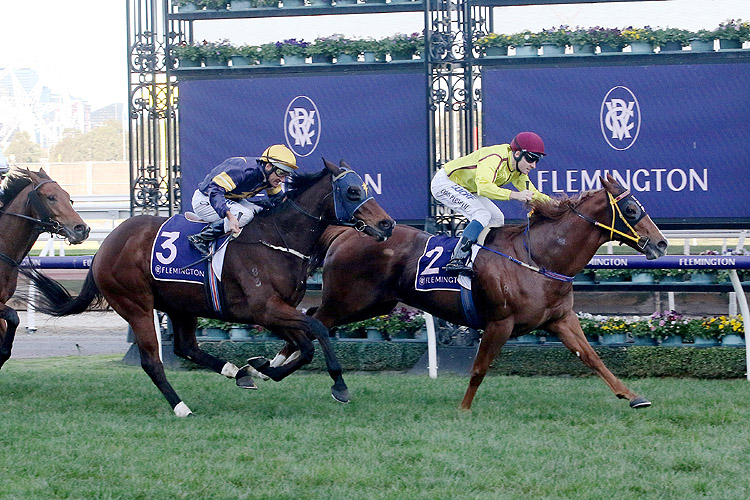 Malibu Style winning the All Victorian Sprint Series