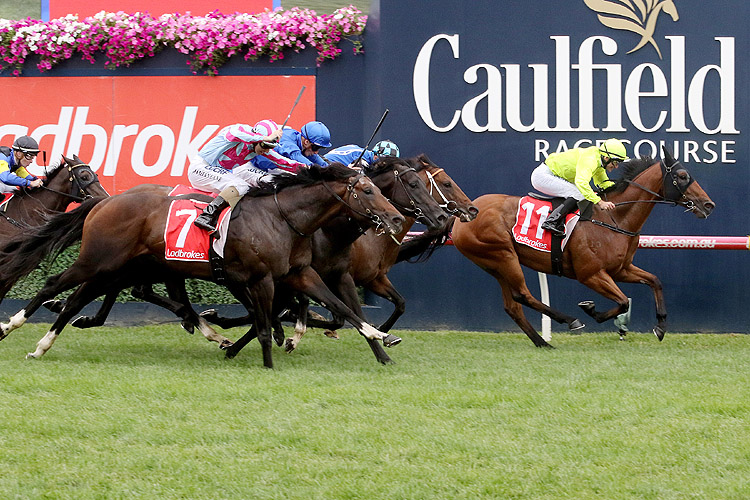Manuel winning the C.F. Orr Stakes