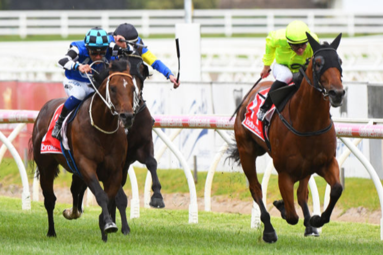 MANUEL winning the C.F. Orr Stakes during Melbourne Racing at Caulfield in Melbourne, Australia.