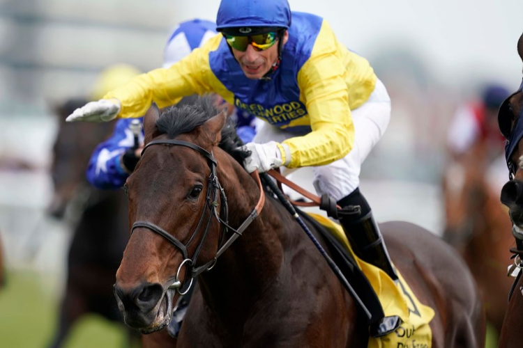 MARMELO winning the Dubai Duty Free Finest Surprise Stakes (Group 3) (Registered As The John Porter Stakes) in Newbury, England.