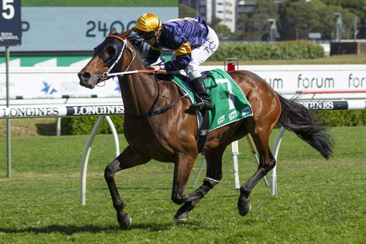 Master Of Wine winning the Clubsnsw City Tattersalls Cup