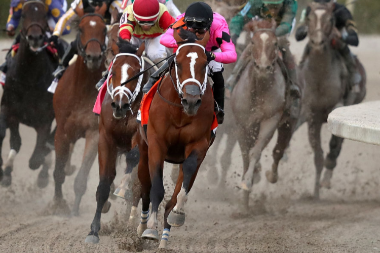 MAXIMUM SECURITY winning the Florida Derby at Gulfstream Park in Hallandale, Florida.