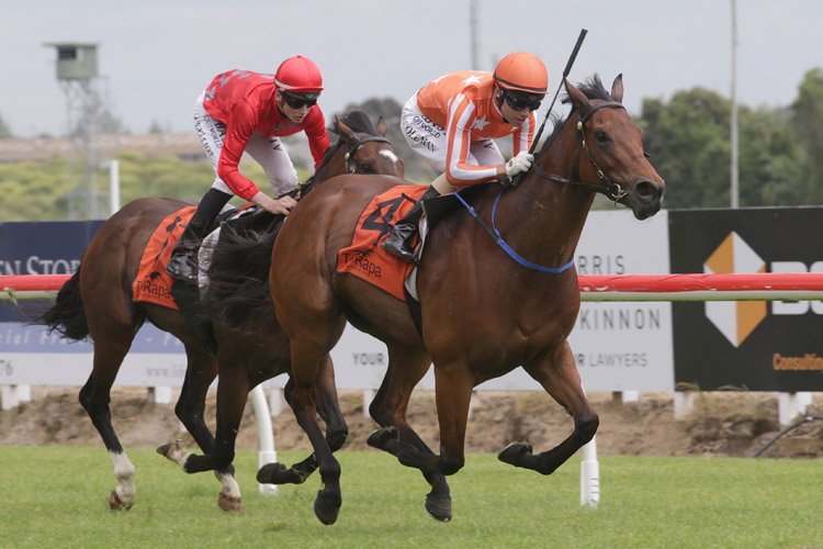 Media Sensation winning the Legacy Lodge Sprint