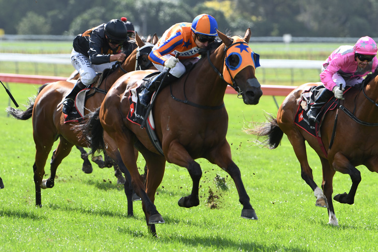 <div class='WordSection1'><p style='margin:0cm 0cm 0.0001pt'>Melody Belle will be vying to become the first horse to win the Hawke’s Bay Triple Crown on Saturday.</p></div>