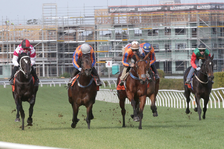 Melody Belle (centre) pleased in her trial at Te Rapa on Monday.