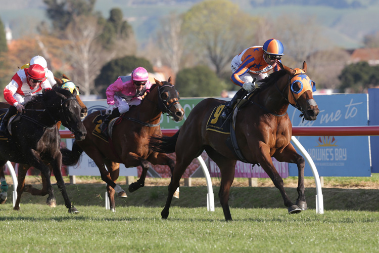 Melody Belle winning the Windsor Park Plate