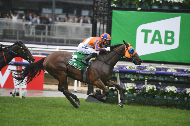 MELODY BELLE winning the Tab Empire Rose Stakes.