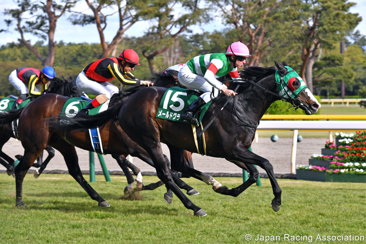 MER DE GLACE winning the Niigata Daishoten in Niigata, Japan.