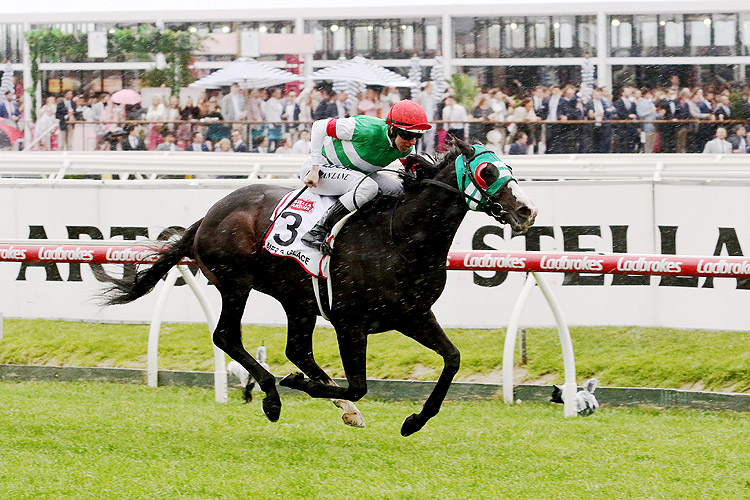 Mer De Glace winning the Caulfield Cup