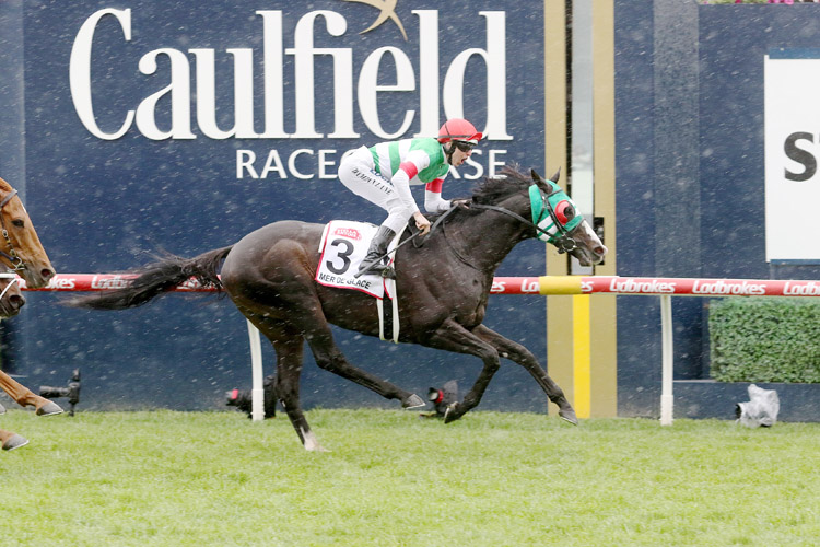 MER DE GLACE winning the Caulfield Cup.