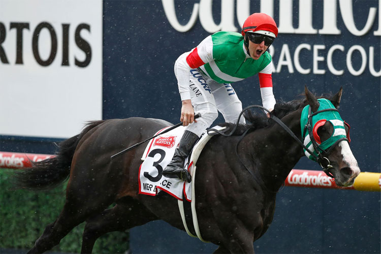 MER DE GLACE winning the Caulfield Cup in Melbourne, Australia.