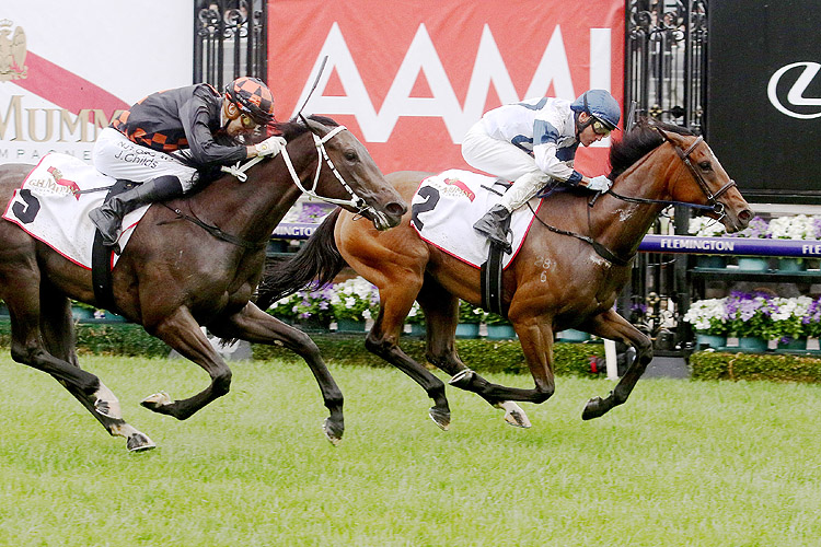 Miami Bound winning the G.H. Mumm Wakeful Stakes