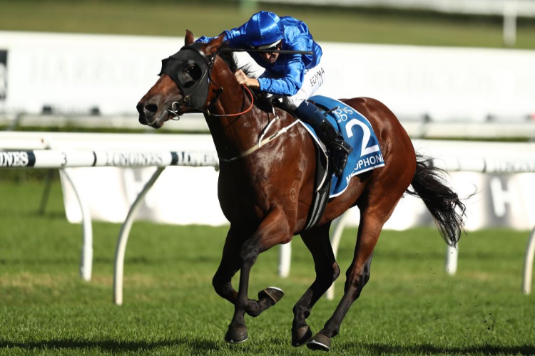 MICROPHONE winning the Inglis Sires during day one of The Championships as part of Sydney Racing at Royal Randwick in Sydney, Australia.