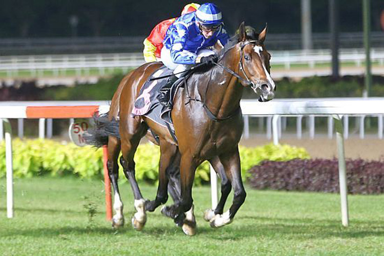 Mikki Joy winning the KRANJI STAKES B Mikki Joy winning the KRANJI STAKES B