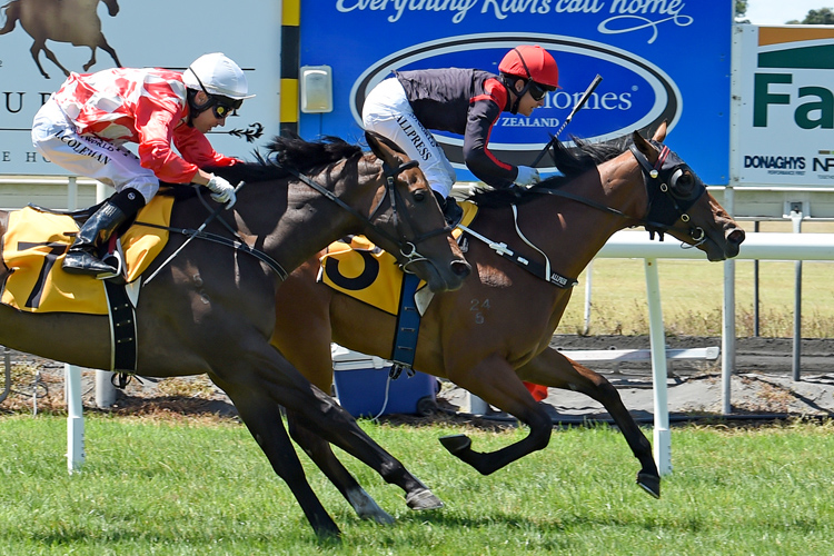 Miss Federer winning the Woburn Farm 2yo Classic