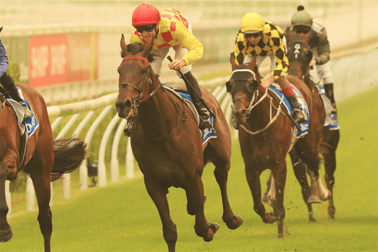 MISSION DREAM winning the Exceed And Excel @Darley Handicap during Sydney Twilight Racing on the Kensington Track at Royal Randwick in Sydney, Australia.