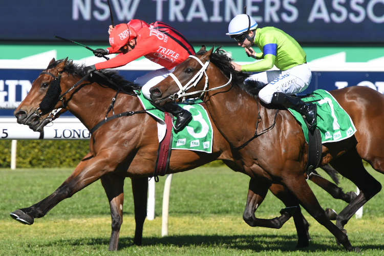 MISTEED winning the Nsw Trainers Association Handicap.