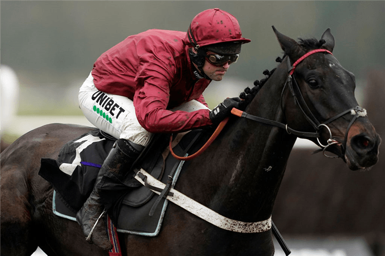 MISTER COFFEY winning the Betway 'Introductory' Hurdle in Newbury, England.