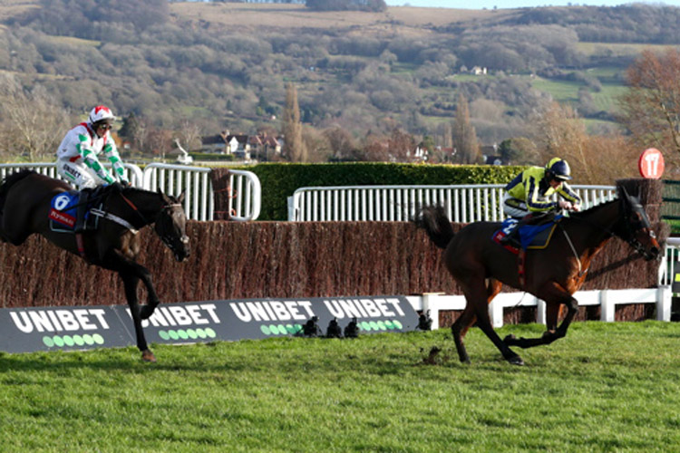 Mister Fisher winning the Ryman Novices' Chase
