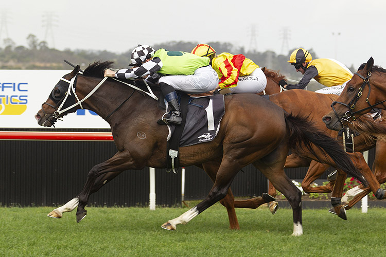 Mister Sea Wolf winning the The Gong.