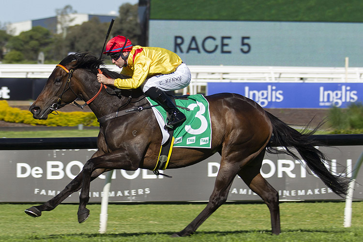 Mizzy winning the Tab Golden Pendant