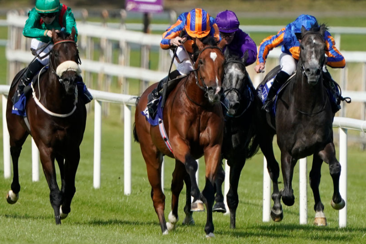 MOGUL winning the KPMG Champions Juvenile Stakes at Leopardstown on Irish Champion Stakes Day in Dublin, Ireland.