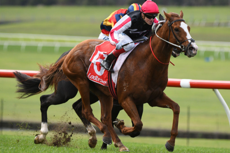 MORRISSY winning the Ladbrokes Cash Out Hcp during Melbourne Racing at Sandown Lakeside in Melbourne, Australia.