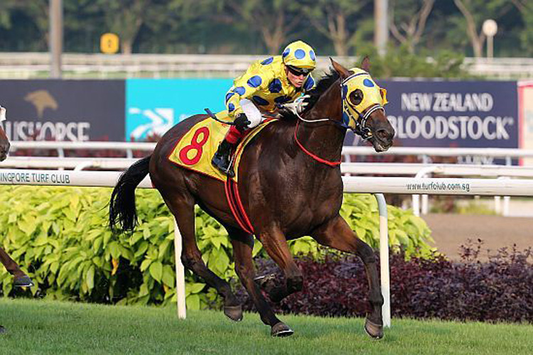 Mr Clint winning the DESTER SINGAPORE GOLD CUP