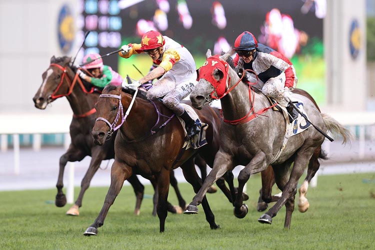 Mr Croissant winning the Ruby Hcp (C3) Mr Croissant winning the Ruby Hcp (C3)