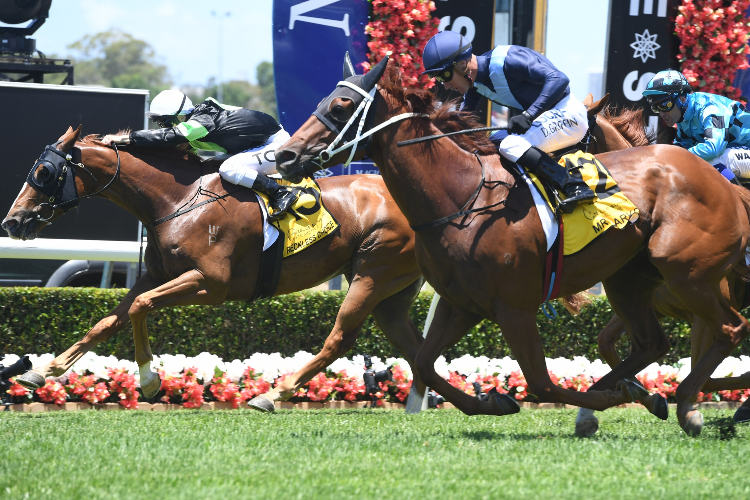 MR MARKOU winning the Magic Millions Country Cup.