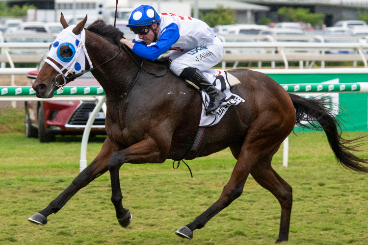 MR QUICKIE winning the Channel 7 Queensland Derby