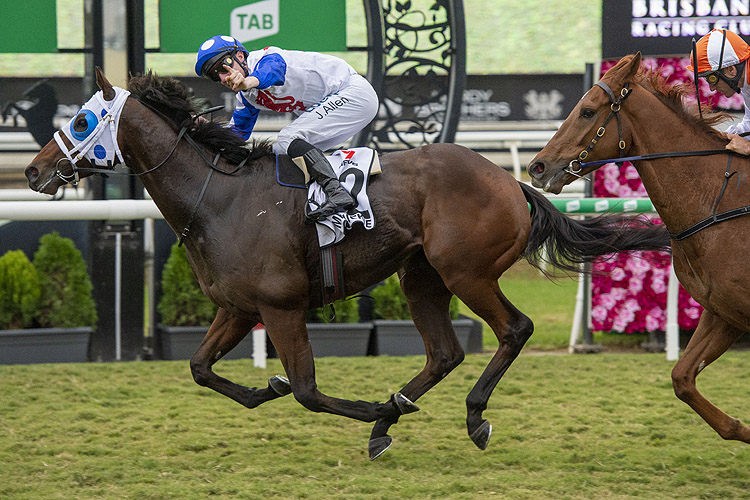 Mr Quickie winning the Channel 7 Queensland Derby