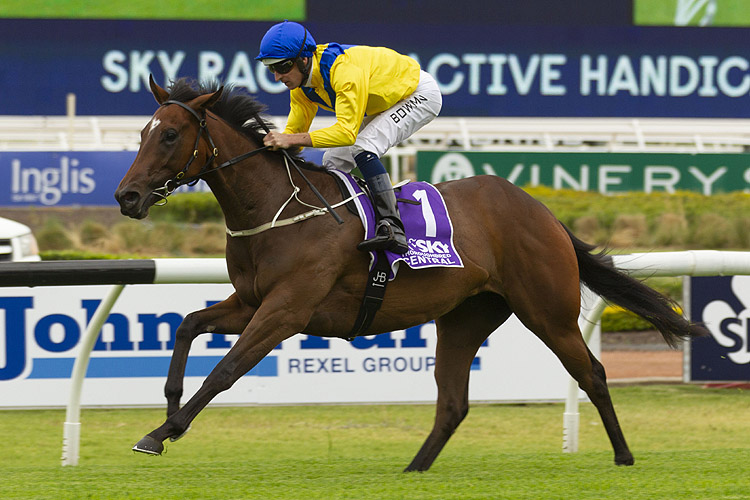 Muntaseera winning the Sky Racing Active Hcp