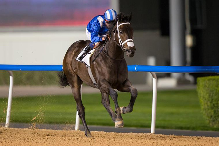 Muntazah winning the Firebreak Stakes Sponsored By Reach By Gulf News