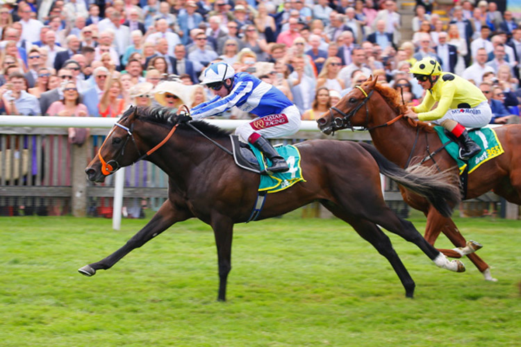 Mystery Power winning the bet365 Superlative Stakes (Group 2)