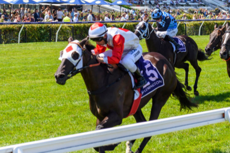 MYSTIC JOURNEY winning the Australian Guineas during Melbourne Racing at Flemington in Melbourne, Australia. MYSTIC JOURNEY winning the Australian Guineas during Melbourne Racing at Flemington in Melbourne, Australia.