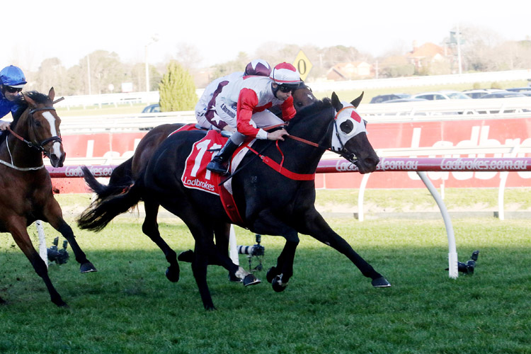 Mystic Journey winning the P.B. Lawrence Stakes