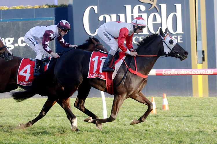 Mystic Journey winning the P.B. Lawrence Stakes