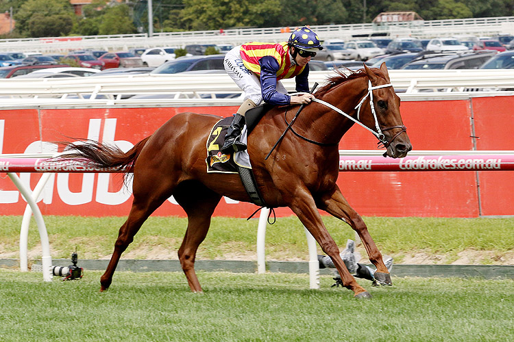 Nature Strip winning the Rubiton Stakes