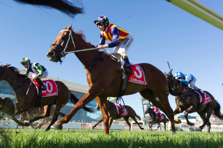 NATURE STRIP winning the Oakleigh Plate during the Blue Diamond Stakes Day at Caulfield in Melbourne, Australia.