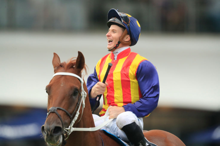 NATURE STRIP returns to scale after winning the Galaxy during Golden Slipper Day at Rosehill Gardens in Sydney, Australia.