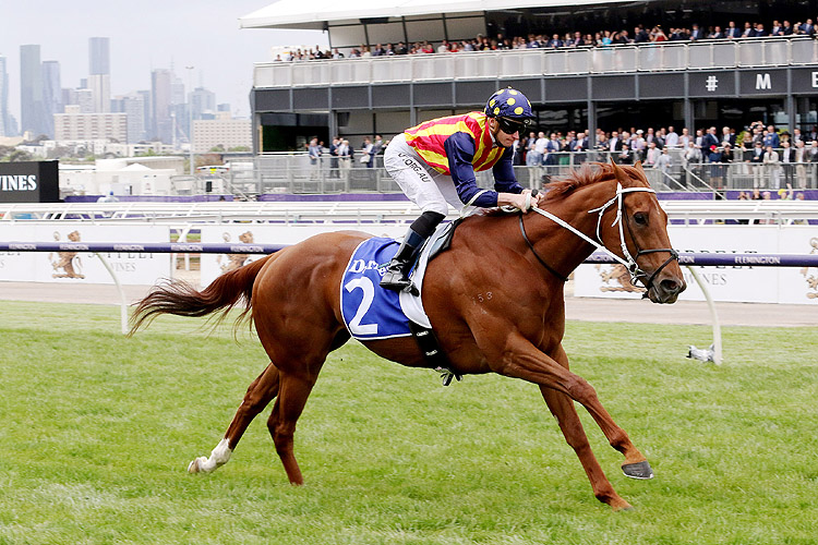 Nature Strip winning the Darley Sprint Classic