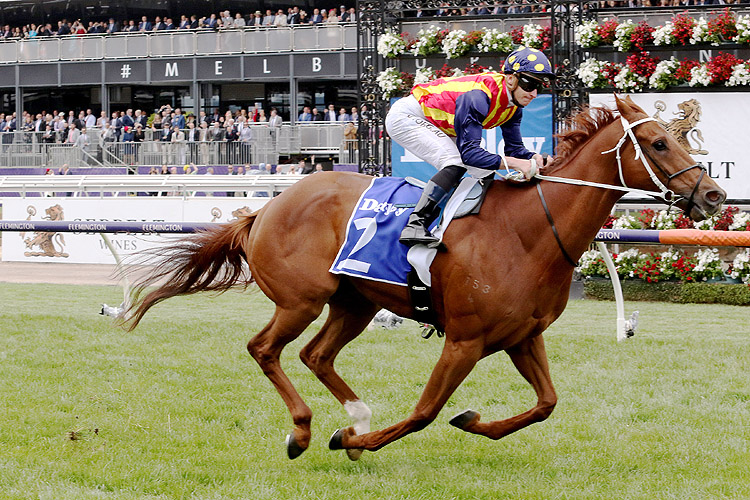 Nature Strip winning the Darley Sprint Classic.