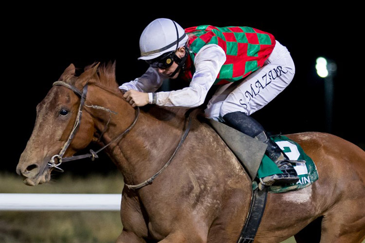 Nayrouz winning the Jebel Hafeet Nayrouz winning the Jebel Hafeet