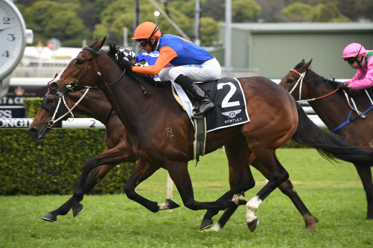 Nettoyer winning the Bentley Angst Stakes.