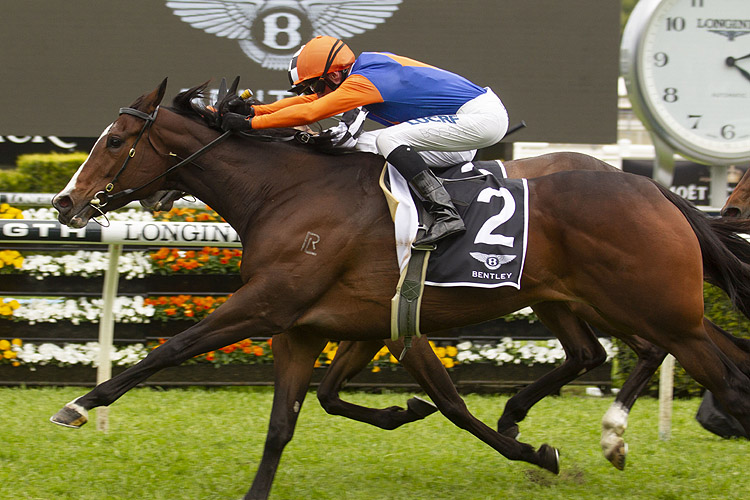 Nettoyer winning the Bentley Angst Stakes