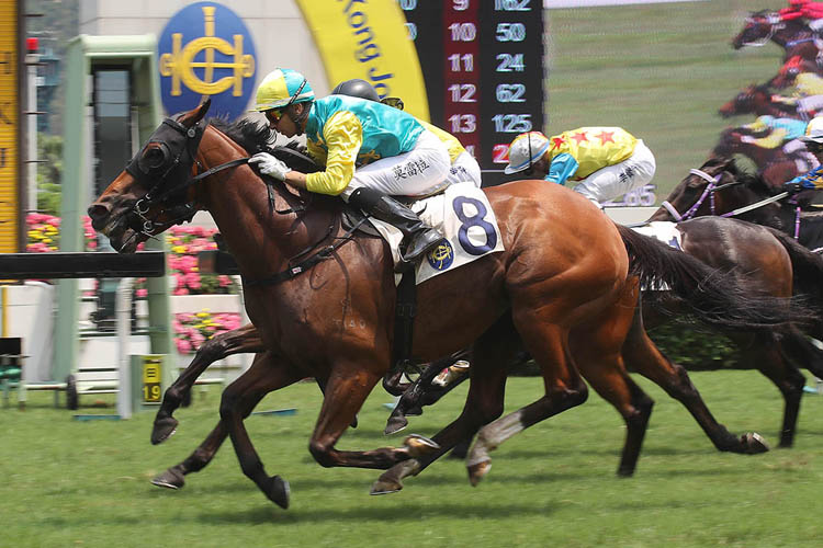 Never Better winning the Sai Van Bridge Hcp (C5) Never Better winning the Sai Van Bridge Hcp (C5)