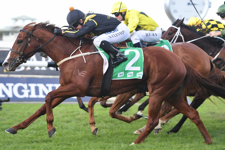 NICCI'S GOLD winning the Tab Rewards Handicap