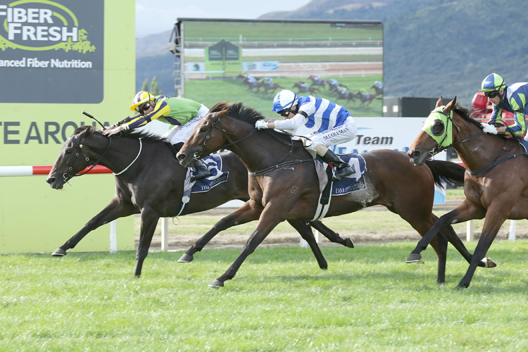 Supera (middle) charges home to be narrowly beaten at Te Aroha